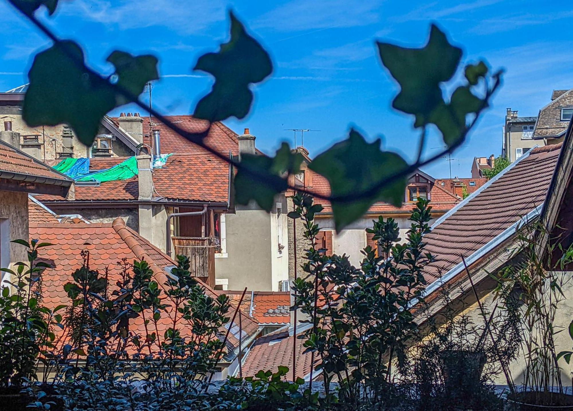 Bed and Breakfast Nid Douillet Анси Экстерьер фото